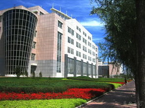 麗江龍?jiān)唇ㄖこ逃邢挢?zé)任公司 構(gòu)筑高品質(zhì)房屋建筑工程