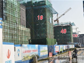 2023年11月住宅建設(shè)工程進(jìn)度報告